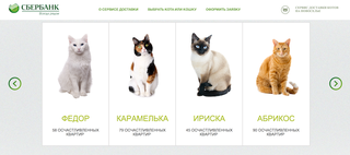 Illustration for article titled Russian Bank Will Send a Cat To Your House if You Sign a Mortgage
